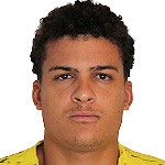 内托-博尔热斯头像,内托-博尔热斯图片